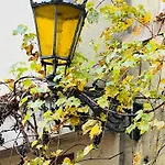 Artvacanza Neustadt