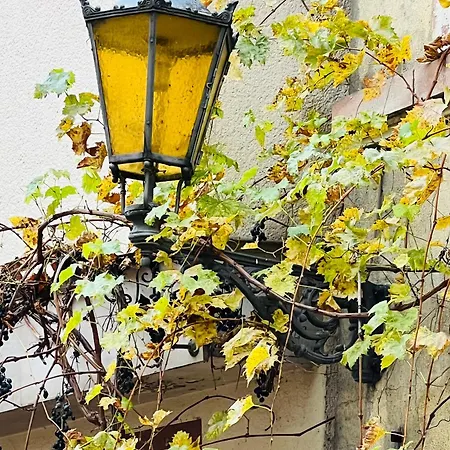 Artvacanza Neustadt