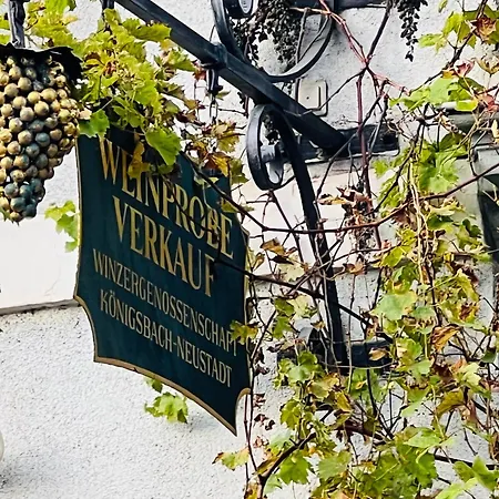 Artvacanza Neustadt * Neustadt an der Weinstraße