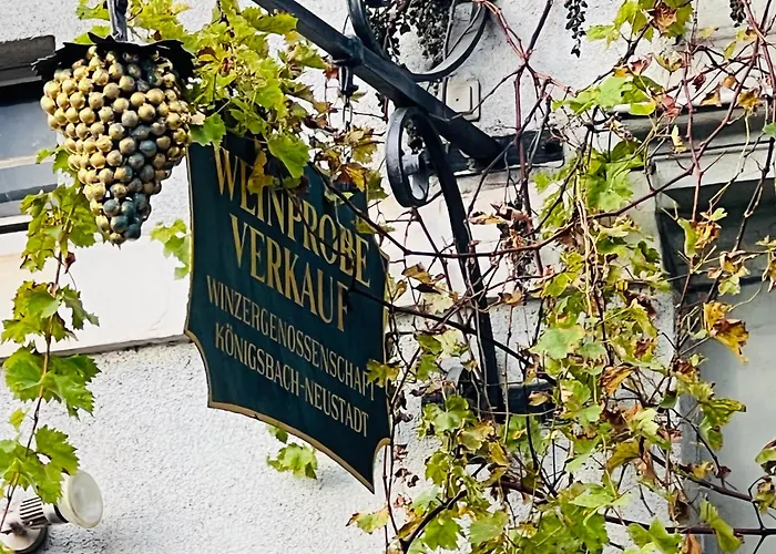 Artvacanza Neustadt * Neustadt an der Weinstraße