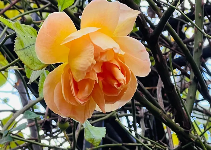 Apartamento Artvacanza Neustadt Neustadt an der Weinstraße